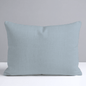 Benjamin Steel Throw Pillow - Lemon Park
