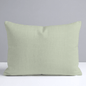 Juliet's Garden Pistachio Throw Pillow - Lemon Park
